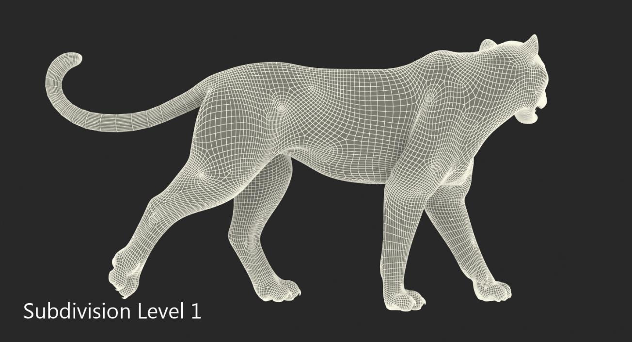 Leopard Walking Pose with Fur 3D model