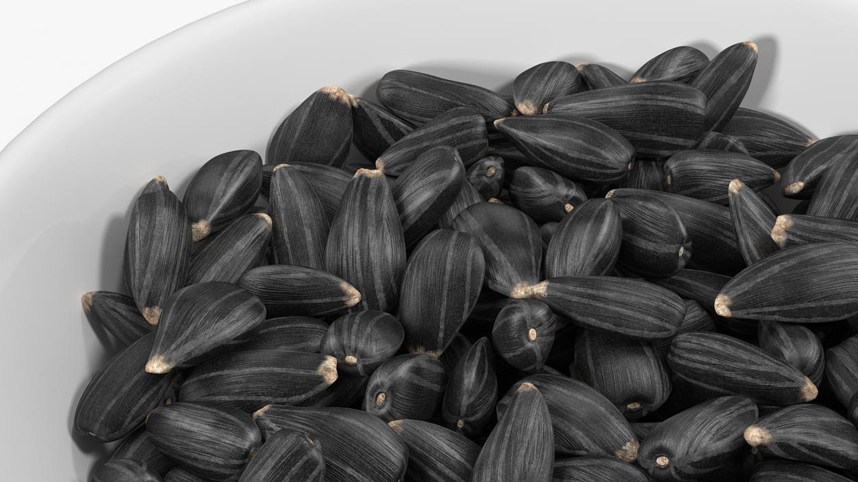 Full Bowl of Black Sunflower Seeds 3D model