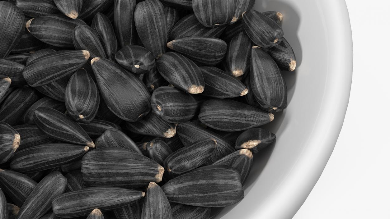 Full Bowl of Black Sunflower Seeds 3D model