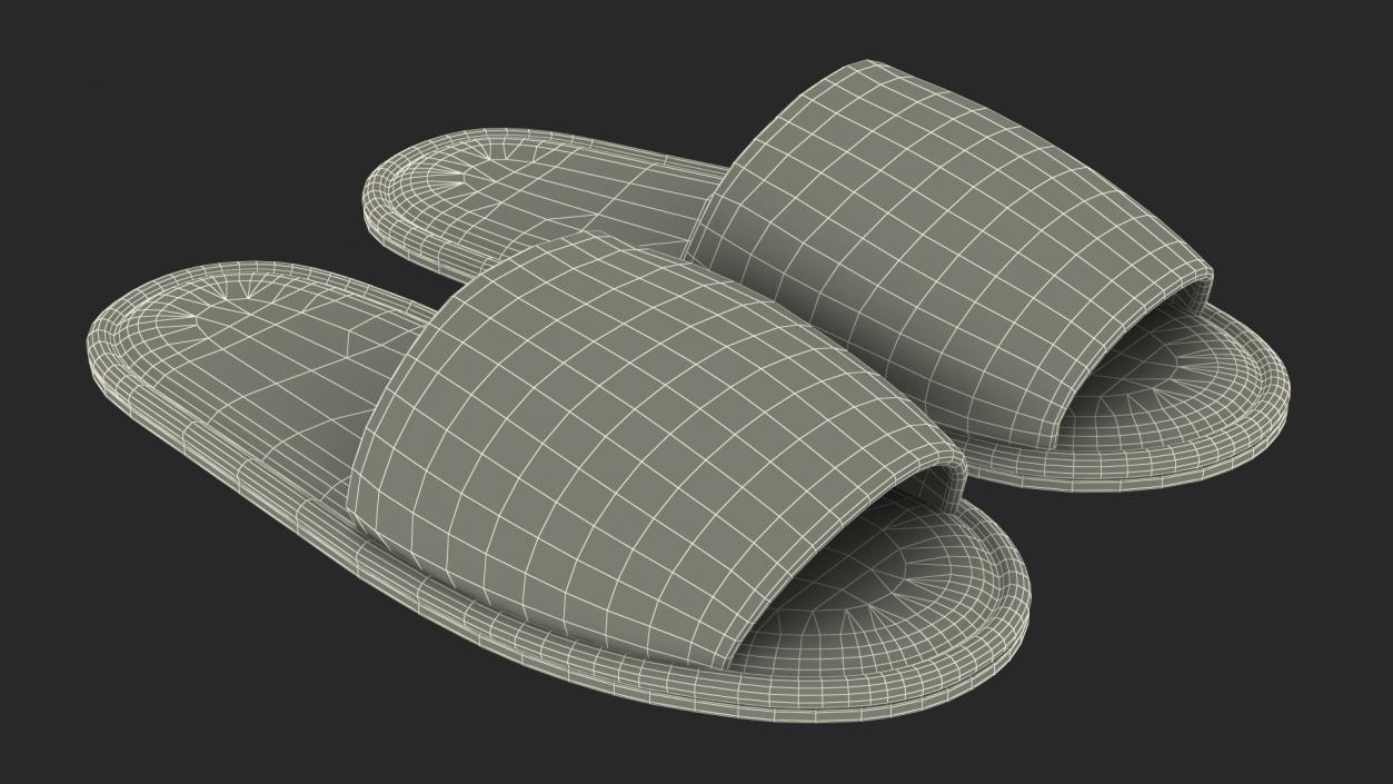 3D Pink Slippers model