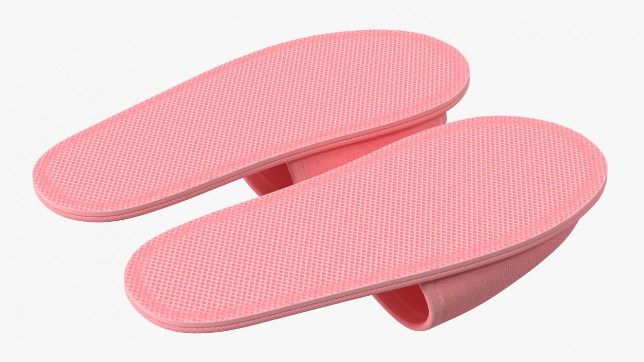 3D Pink Slippers model