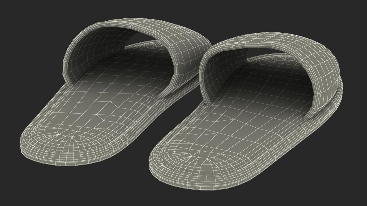 3D Pink Slippers model