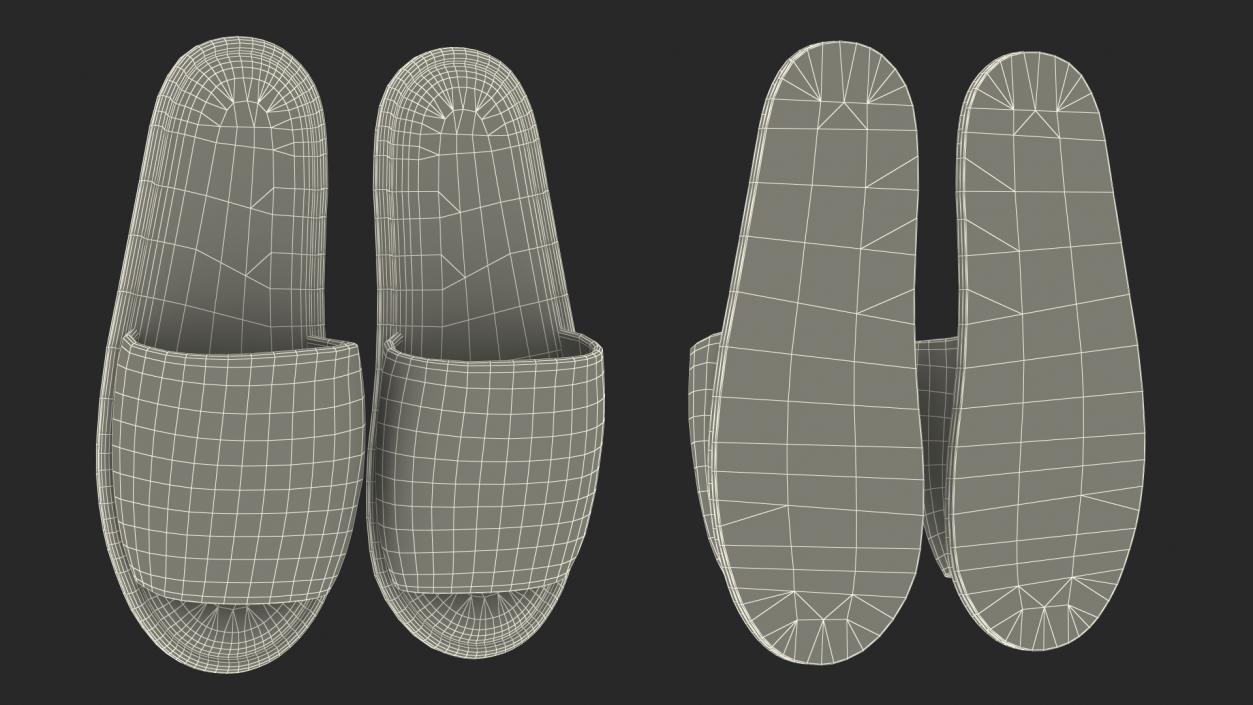 3D Pink Slippers model