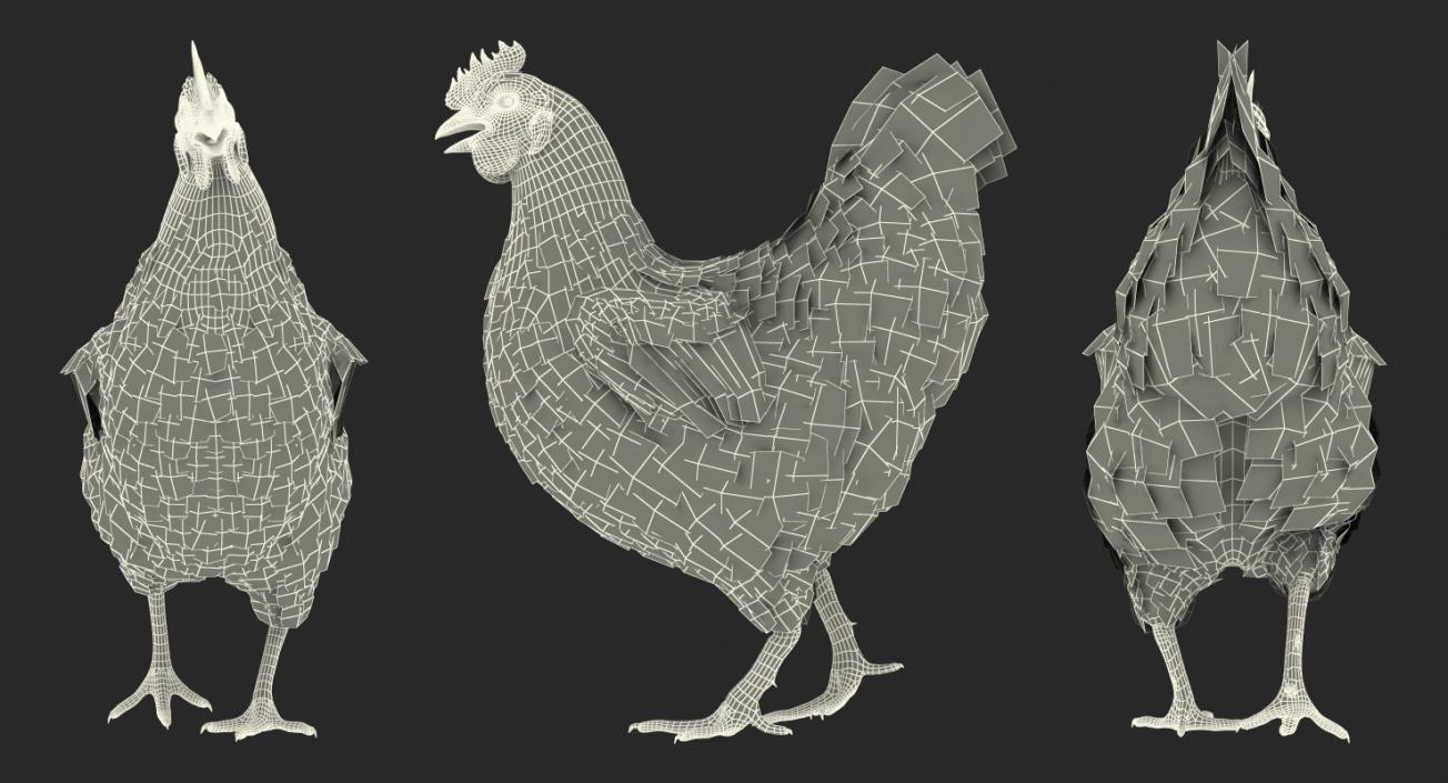 3D model Rigged Birds Collection 2