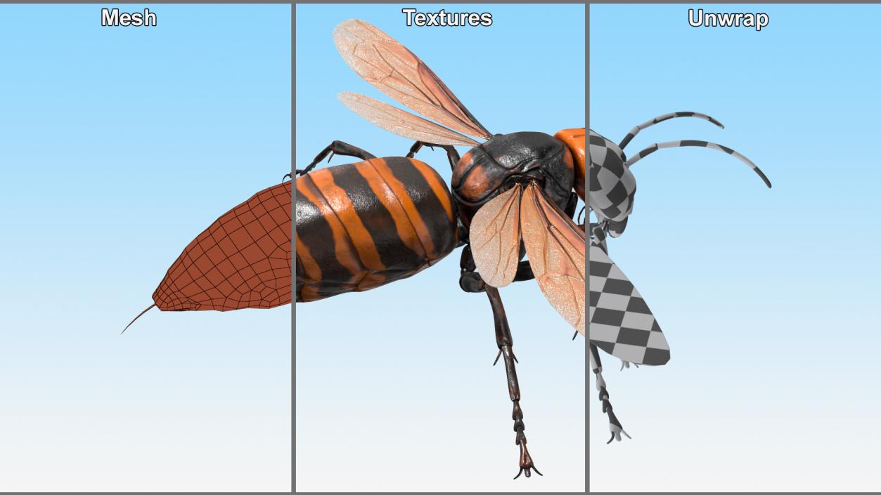 Giant Asian Hornet Basic Pose 3D model