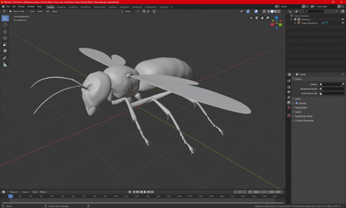 Giant Asian Hornet Basic Pose 3D model