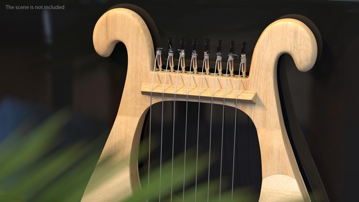 3D model Traditional Stringed Instruments Collection 5