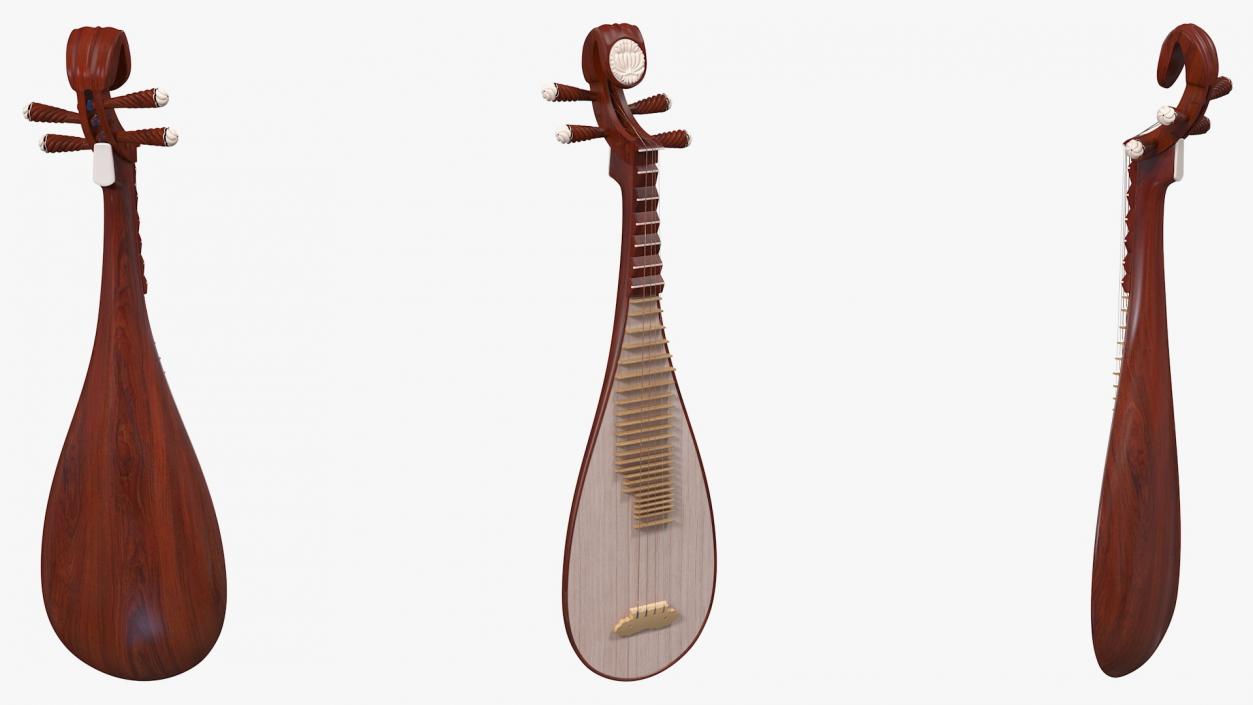 3D model Traditional Stringed Instruments Collection 5