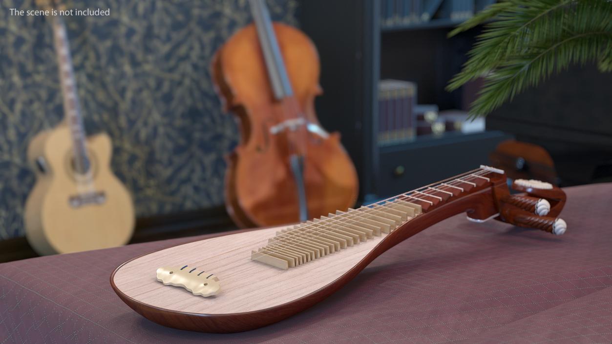 3D model Traditional Stringed Instruments Collection 5