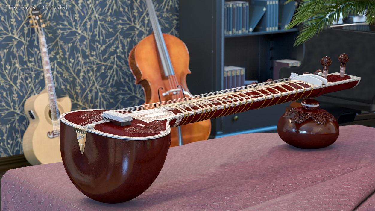 3D model Traditional Stringed Instruments Collection 5