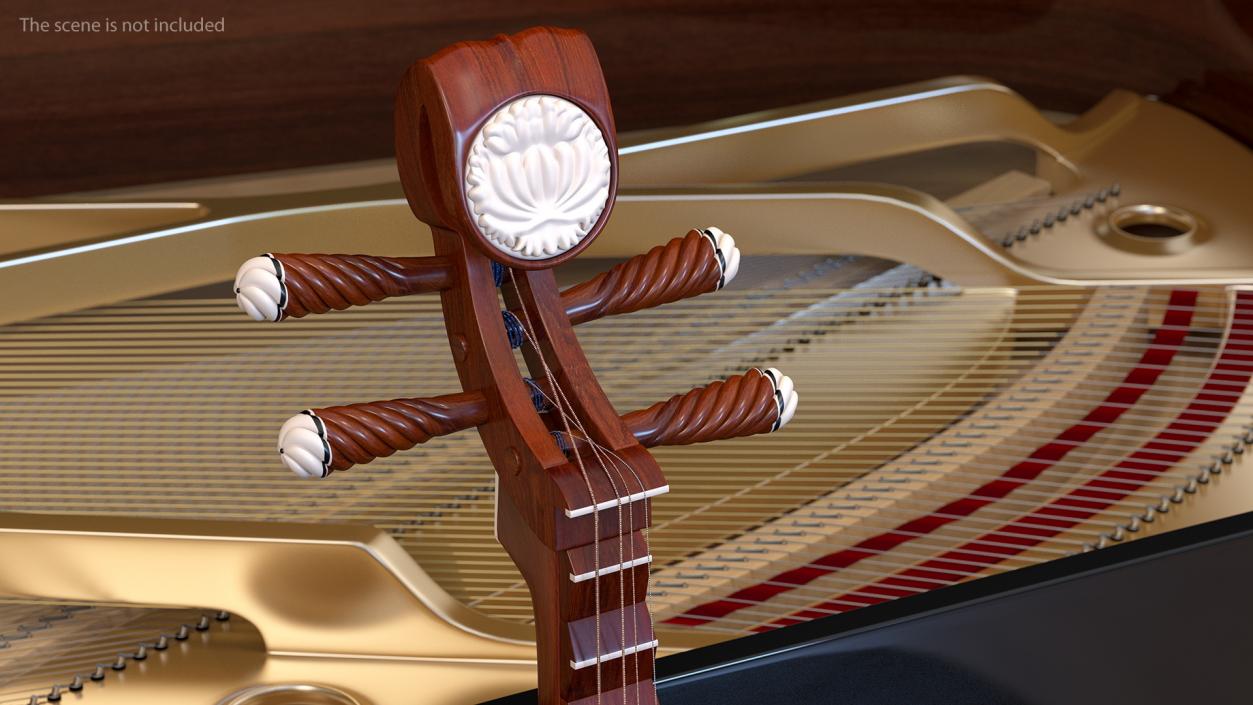 3D model Traditional Stringed Instruments Collection 5