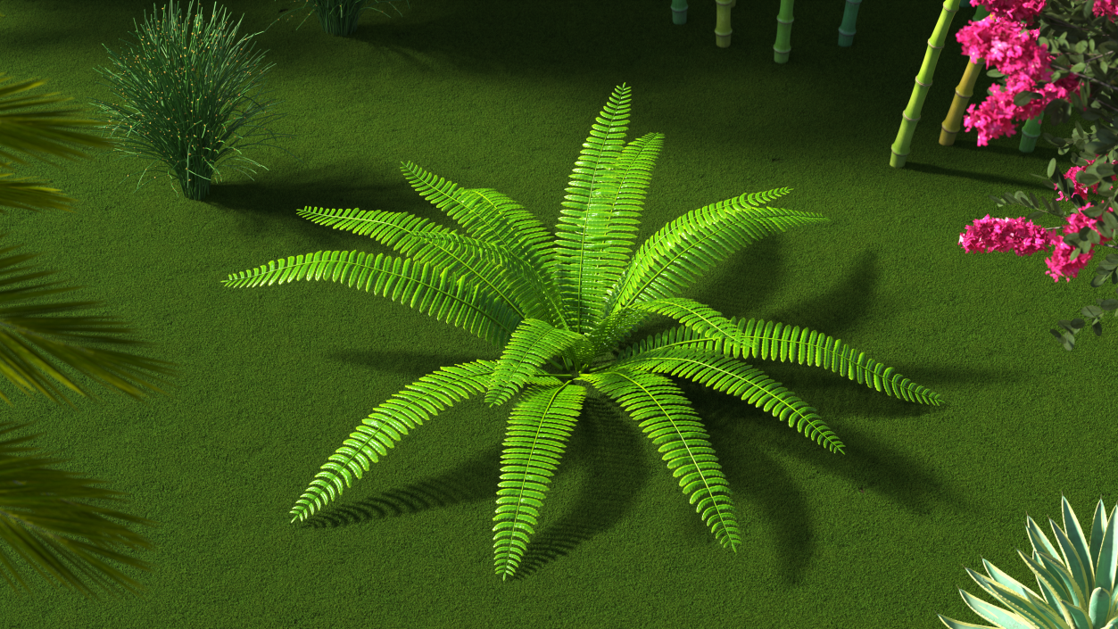 Tropical Fern Plant 3D model