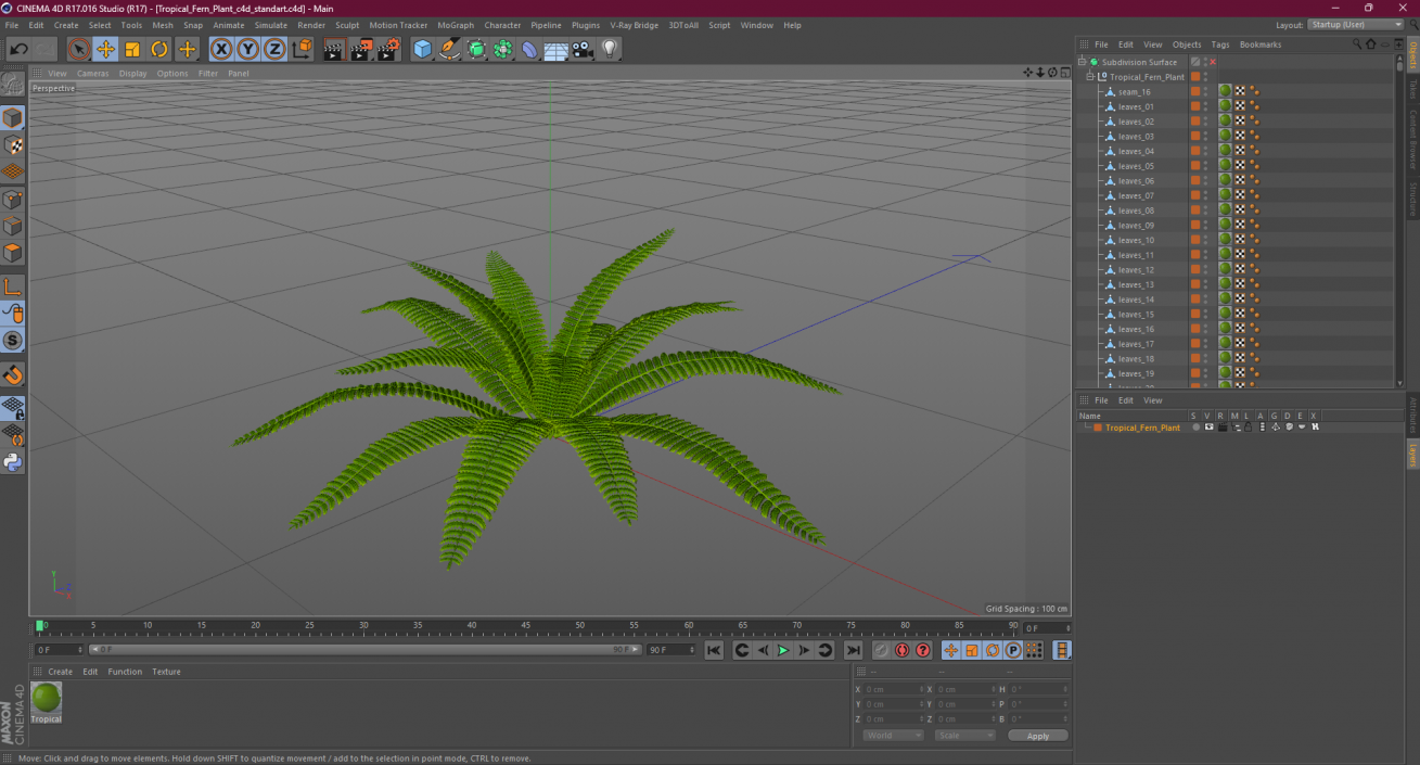 Tropical Fern Plant 3D model