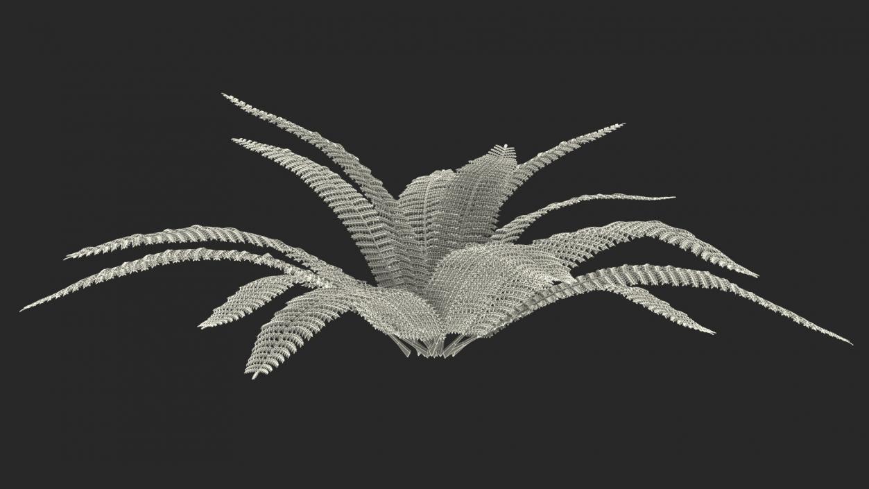 Tropical Fern Plant 3D model