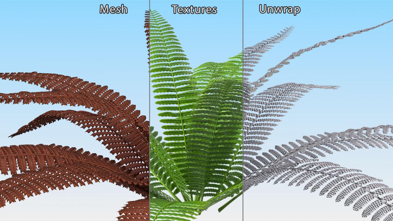 Tropical Fern Plant 3D model