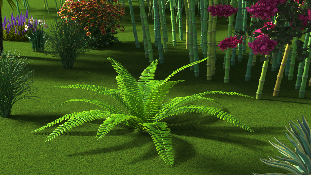 Tropical Fern Plant 3D model