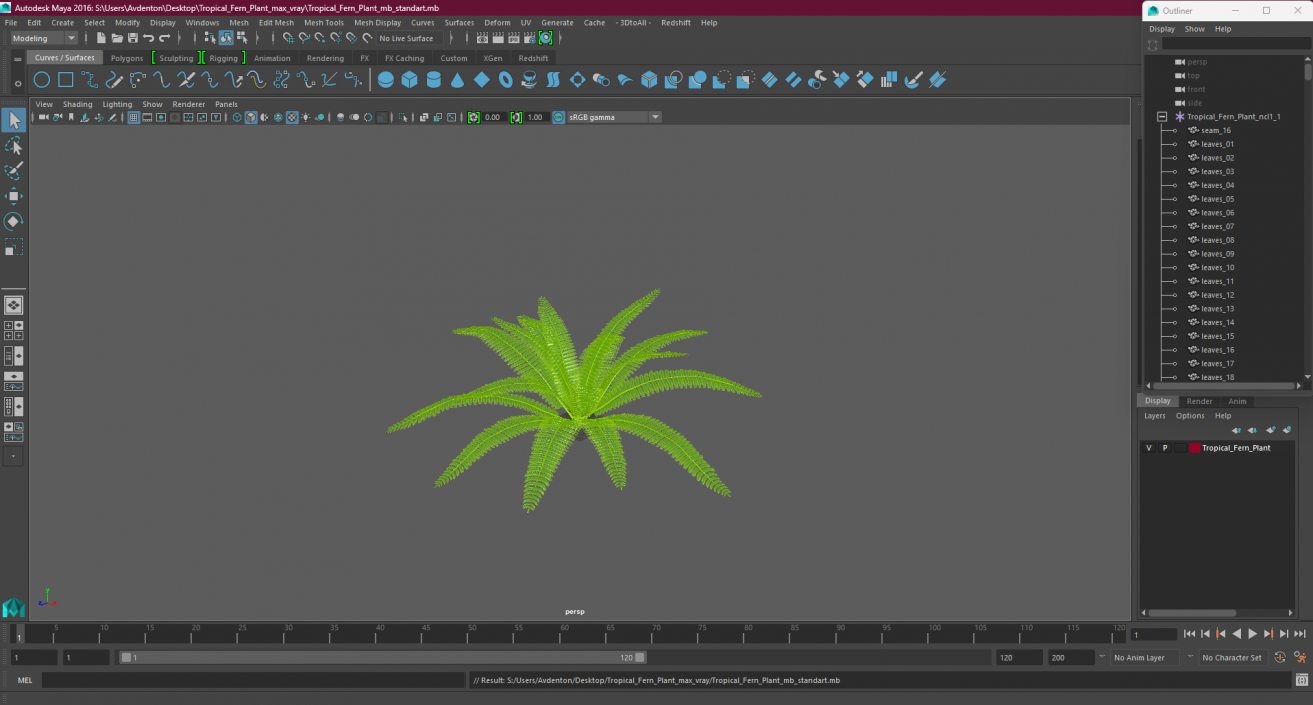 Tropical Fern Plant 3D model