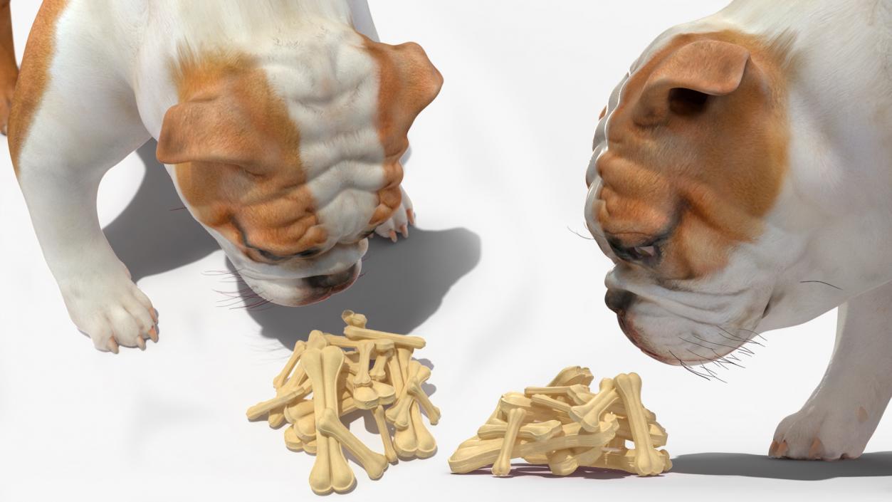 3D model Bulldog Sniffs a Pile of Bones