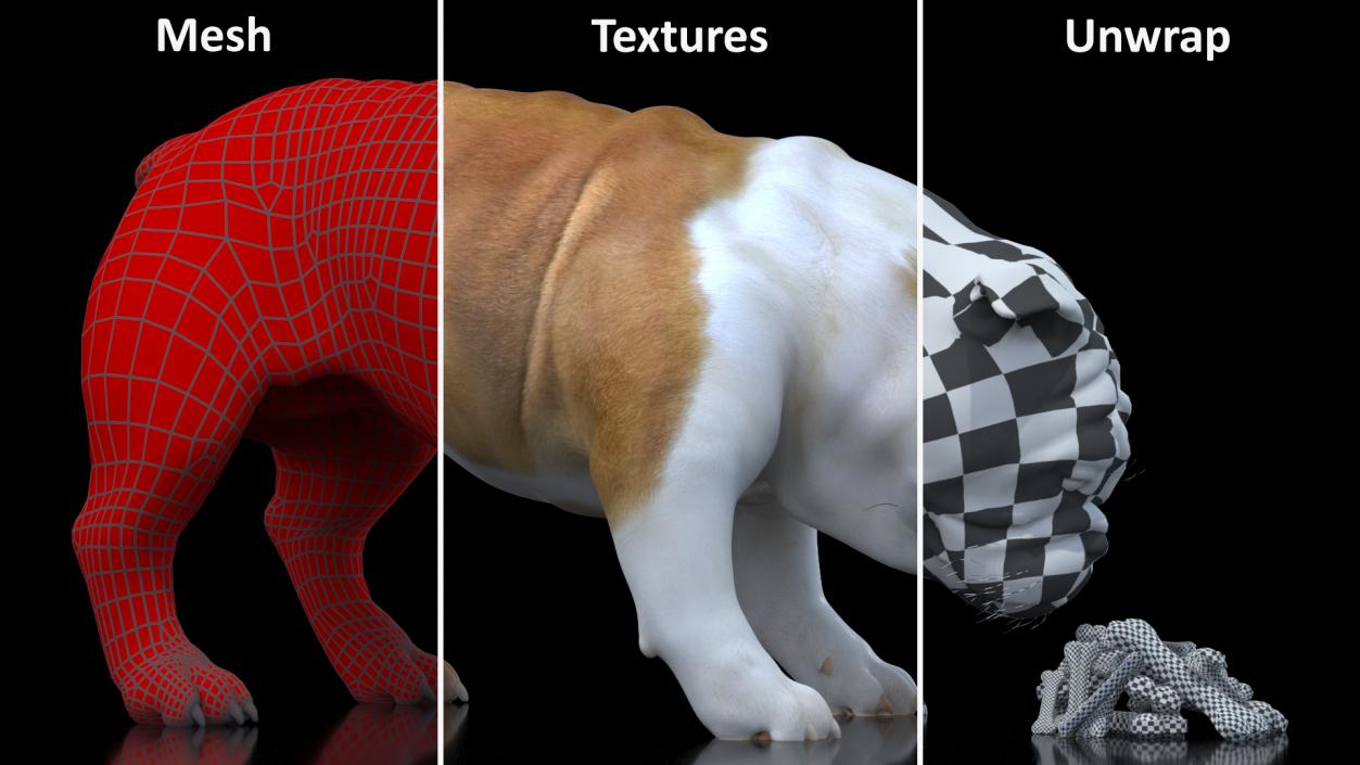 3D model Bulldog Sniffs a Pile of Bones