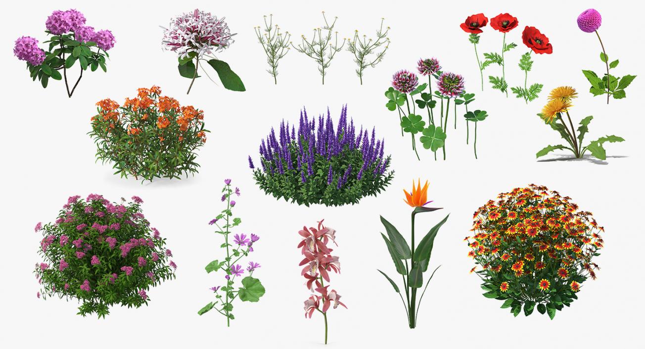 3D model Flowering Plants Collection 10