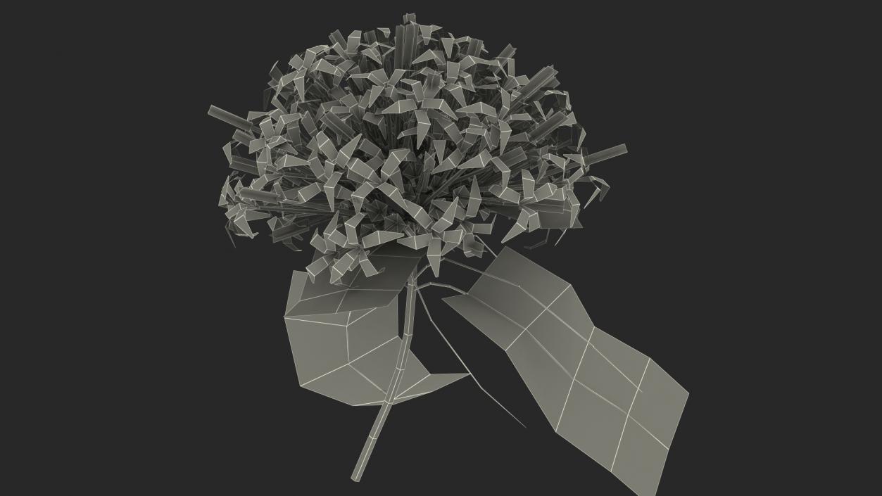 3D model Flowering Plants Collection 10