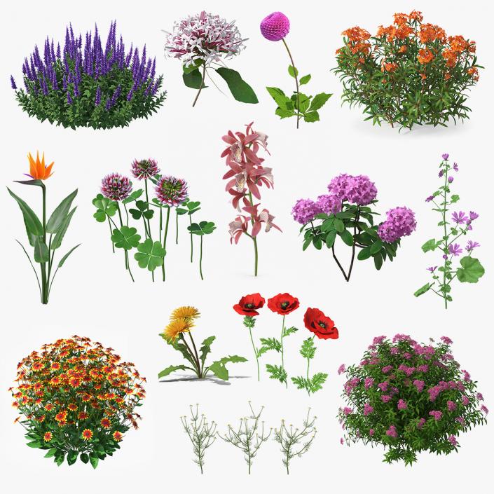 3D model Flowering Plants Collection 10