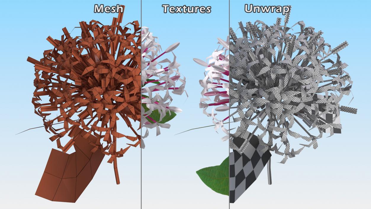 3D model Flowering Plants Collection 10