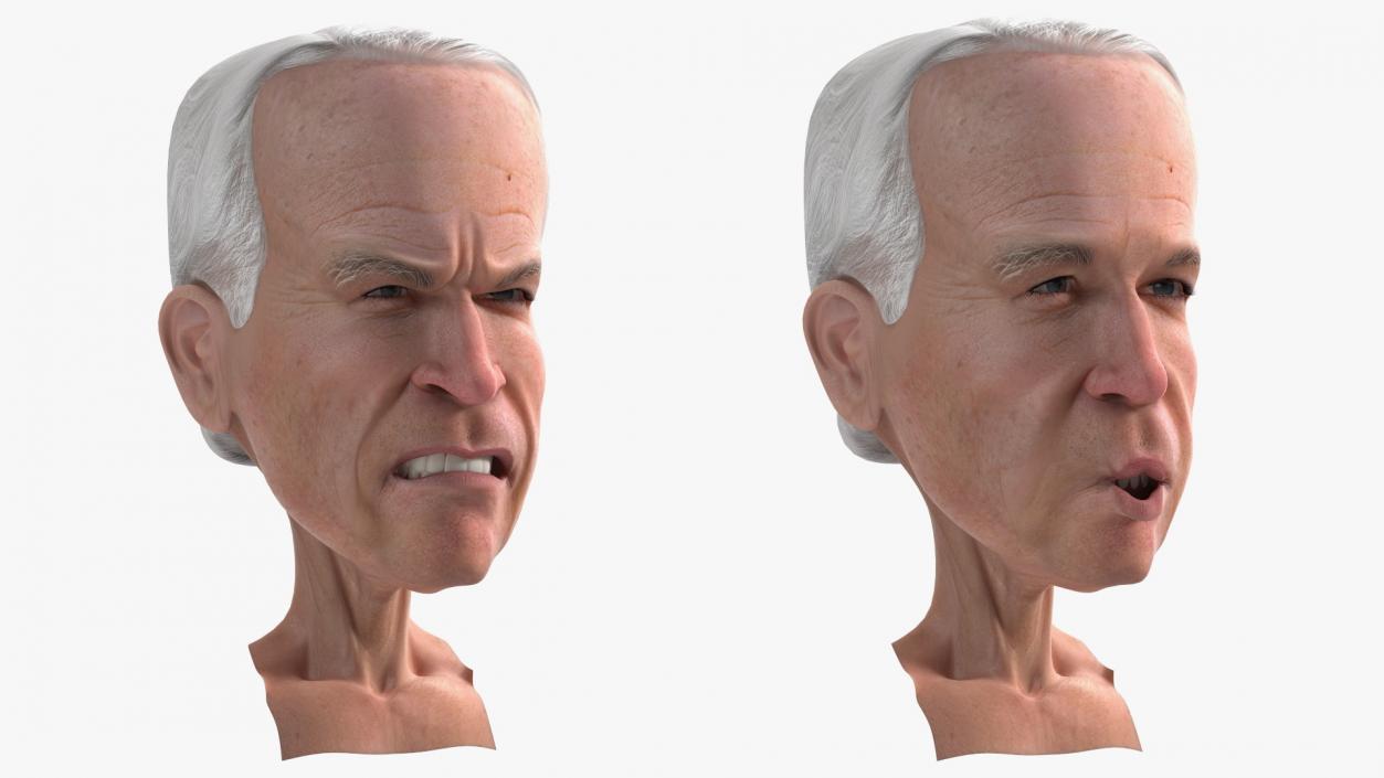 Cartoon Joe Biden Head Rigged 3D model