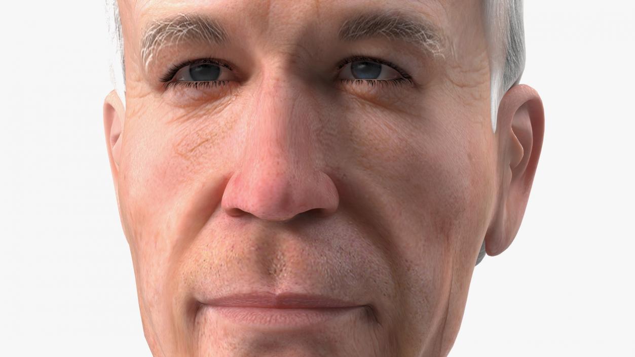 Cartoon Joe Biden Head Rigged 3D model