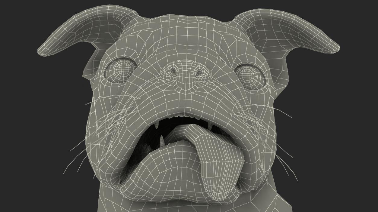 Pug Dog Rigged 3D model