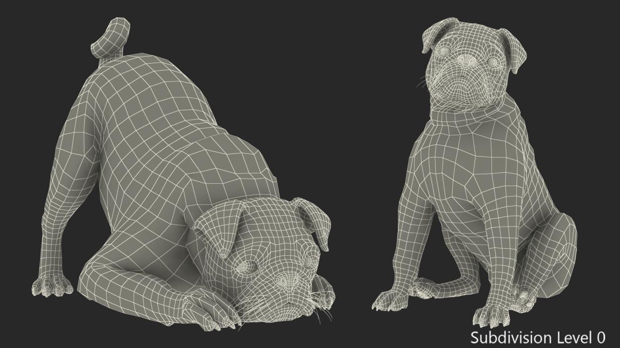 Pug Dog Rigged 3D model