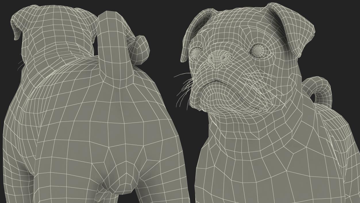 Pug Dog Rigged 3D model