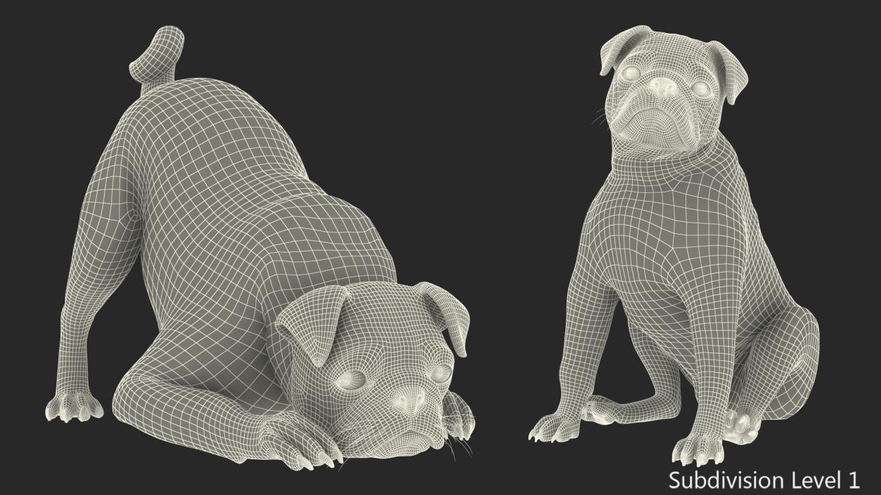 Pug Dog Rigged 3D model