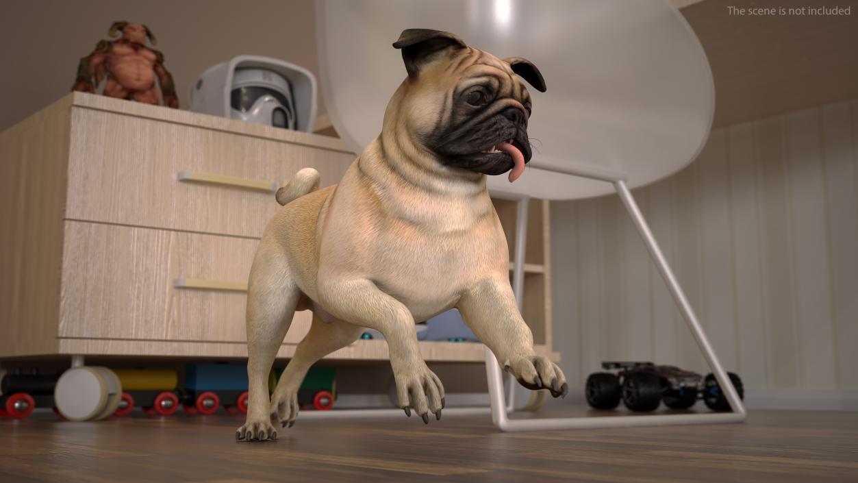 Pug Dog Rigged 3D model