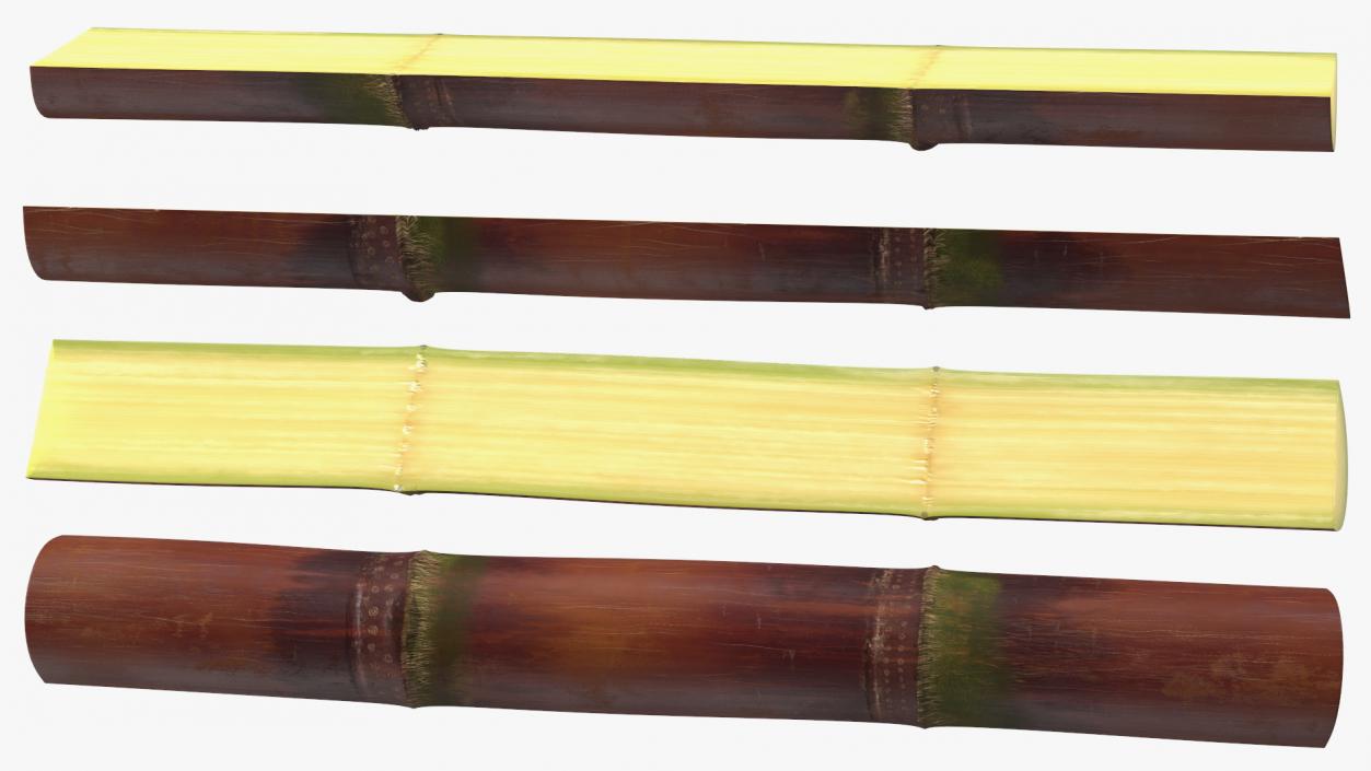 3D model Brown Sugarcane Half Cut Piece