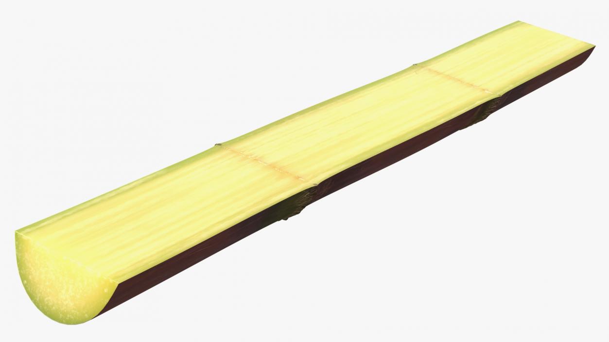 3D model Brown Sugarcane Half Cut Piece