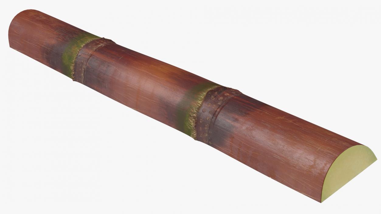 3D model Brown Sugarcane Half Cut Piece