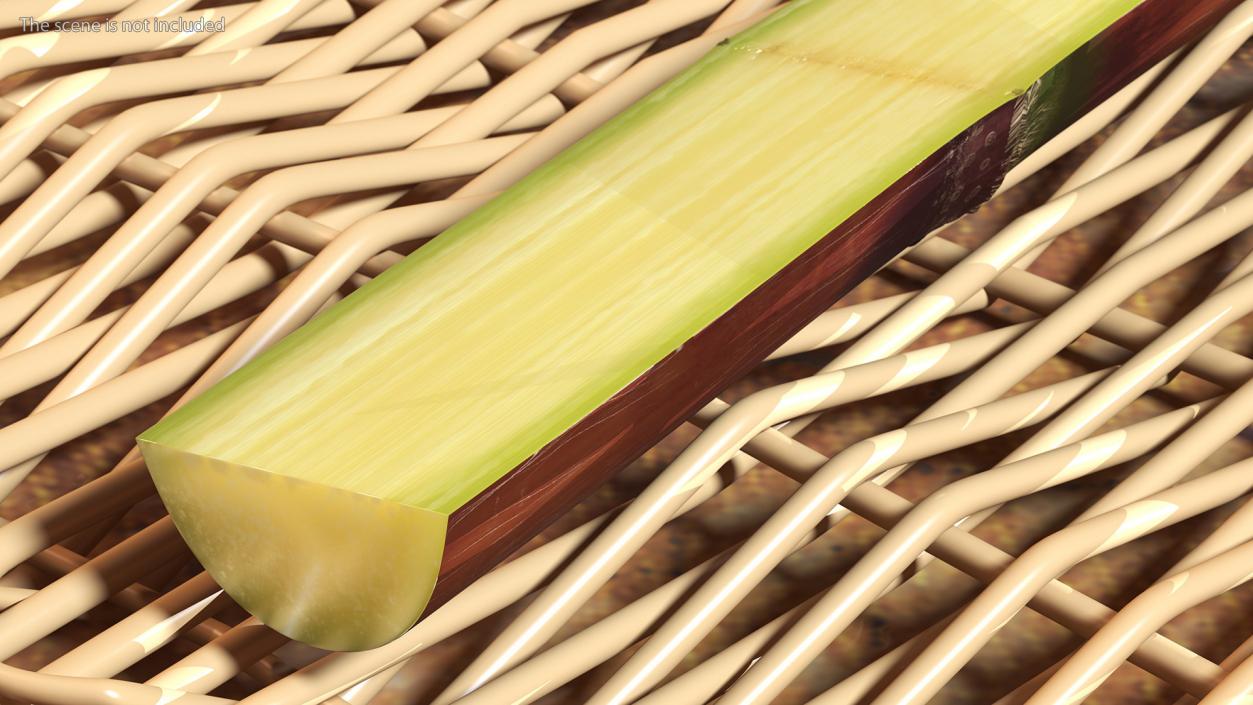 3D model Brown Sugarcane Half Cut Piece