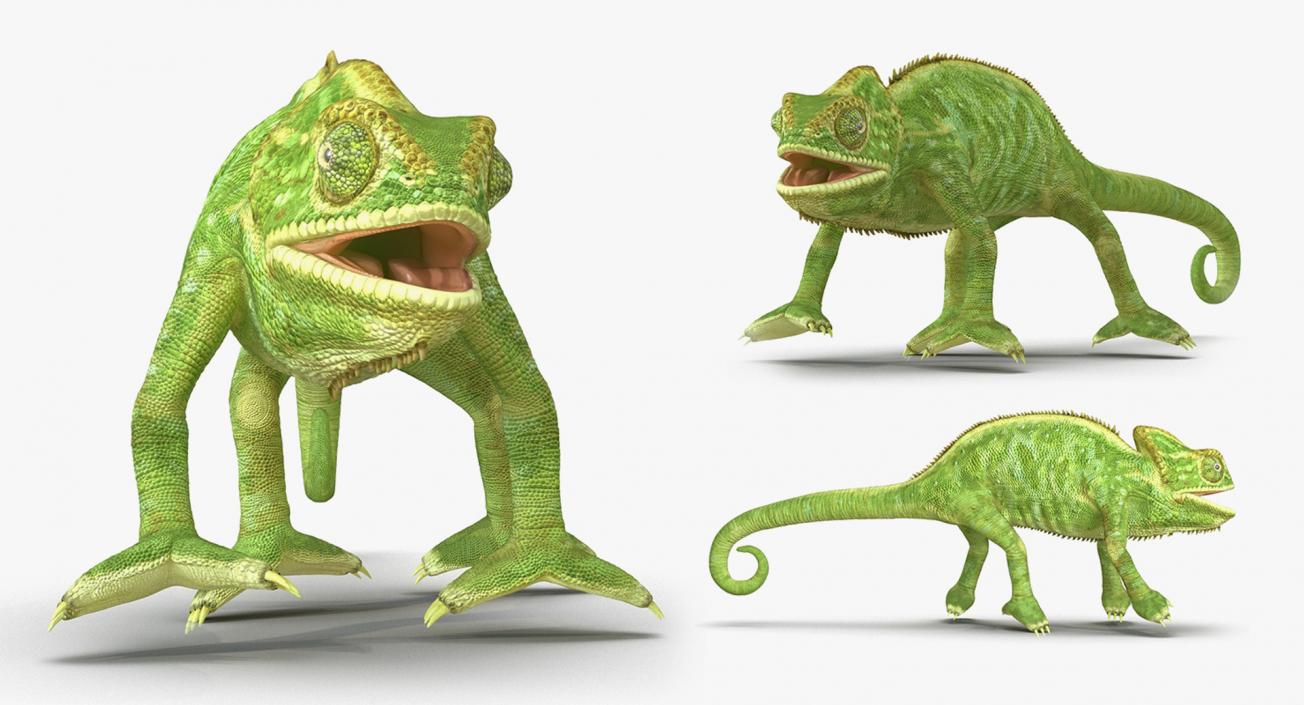 3D model Lizards Collection 3