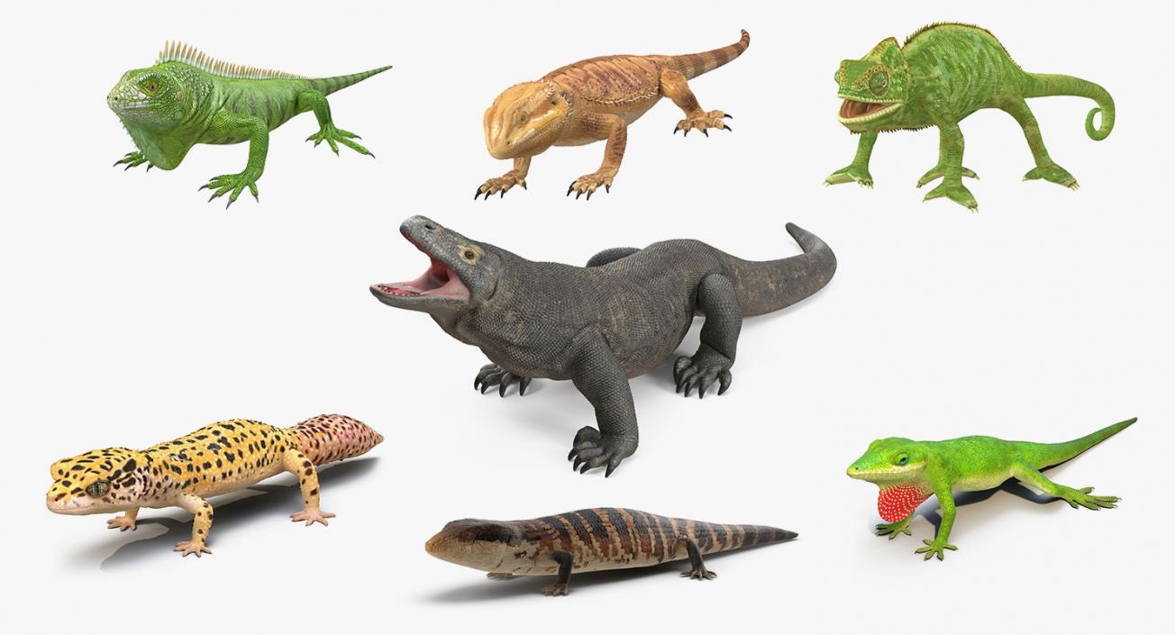 3D model Lizards Collection 3