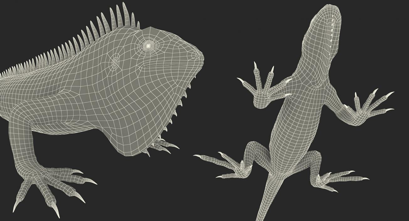 3D model Lizards Collection 3