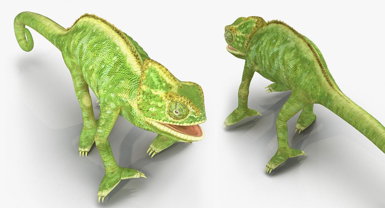 3D model Lizards Collection 3