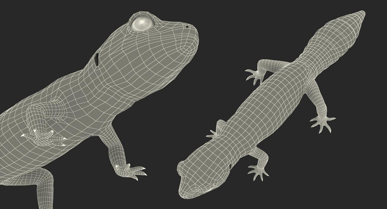 3D model Lizards Collection 3