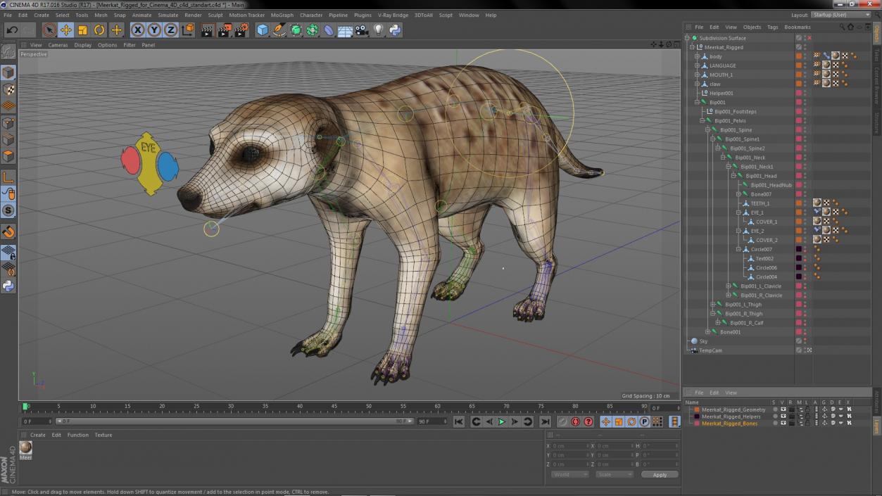 3D model Meerkat Rigged for Cinema 4D 2