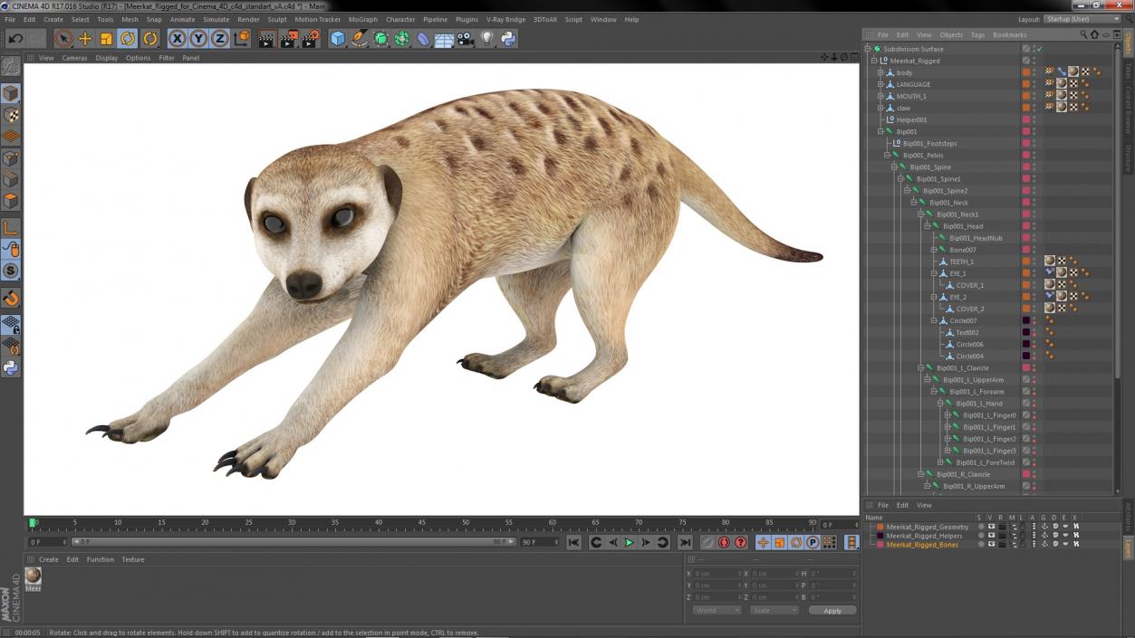 3D model Meerkat Rigged for Cinema 4D 2