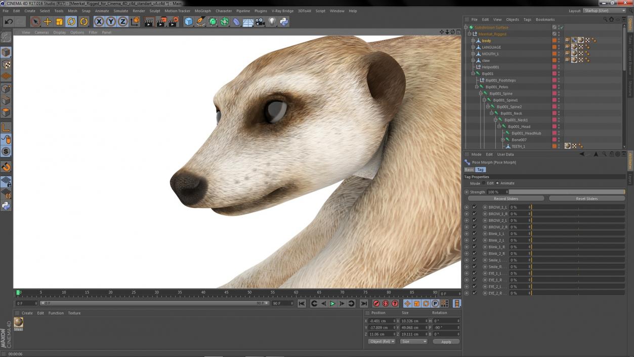 3D model Meerkat Rigged for Cinema 4D 2