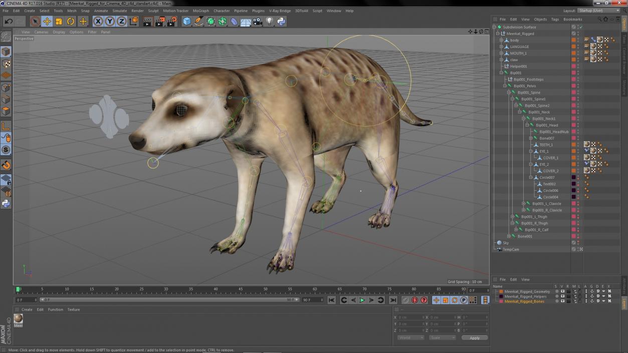 3D model Meerkat Rigged for Cinema 4D 2