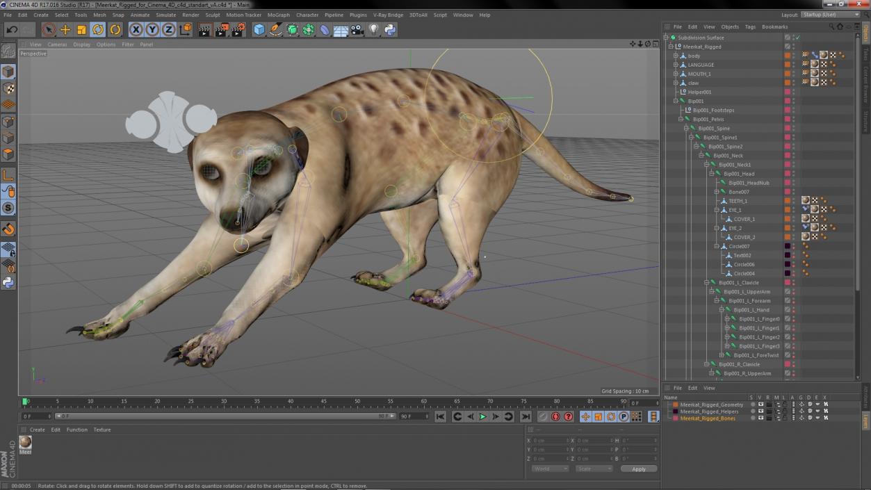 3D model Meerkat Rigged for Cinema 4D 2