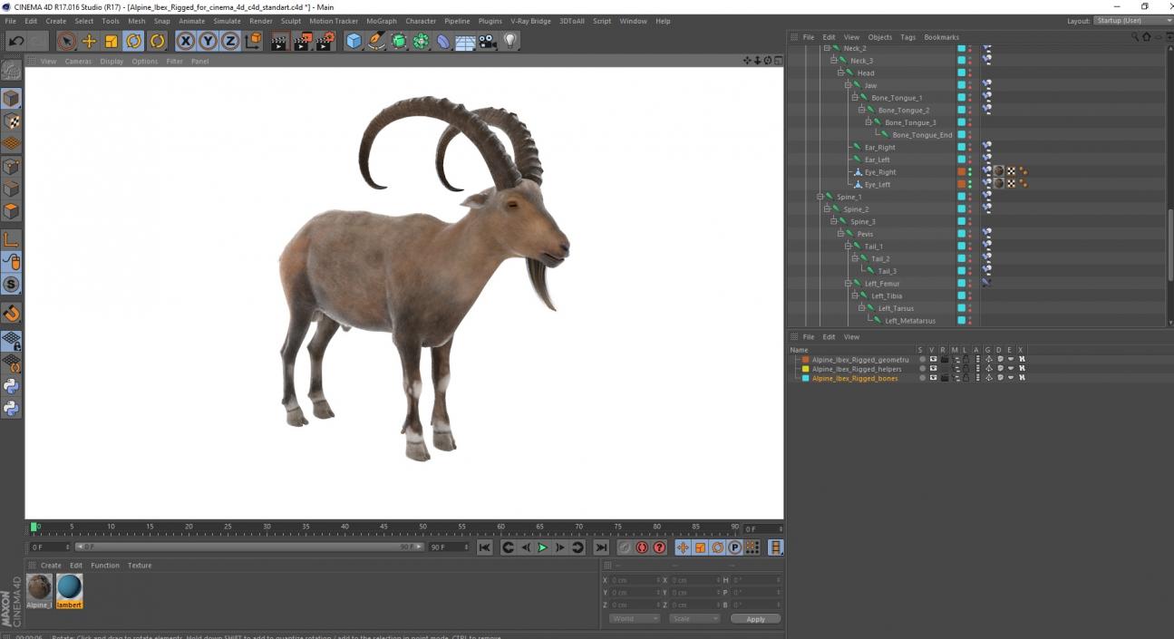 Alpine Ibex Rigged for Cinema 4D 2 3D model