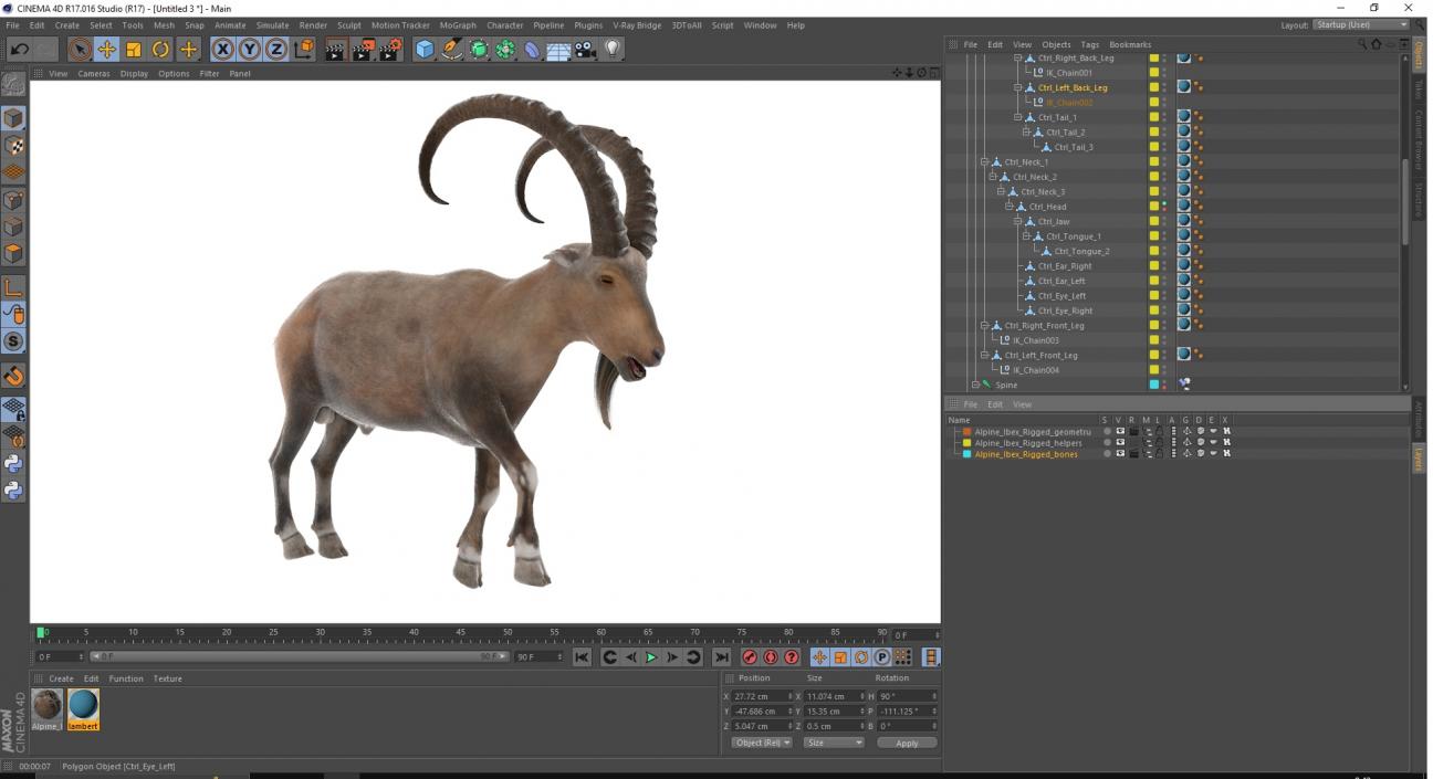 Alpine Ibex Rigged for Cinema 4D 2 3D model